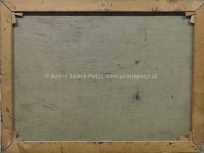  / V podzámčí / Václav Haise