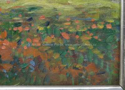  / Vlčí máky /   Autor neurčen