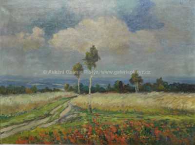  / Vlčí máky /   Autor neurčen