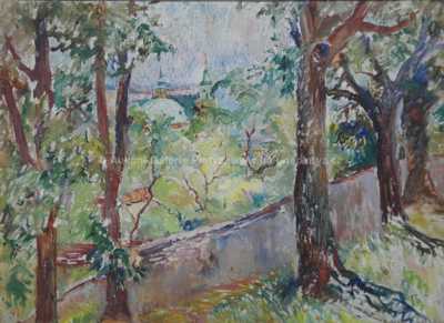  / Pohled z Petřína / Lucie Klímová