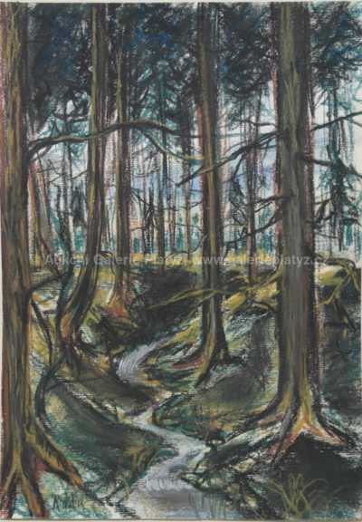  / Lesní potok / Vlastimil Rada