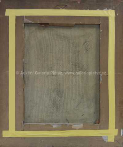  / Chlapecký sen /   Neznačeno