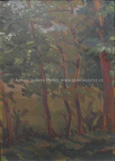  / Pod stromy /   Autor neurčen