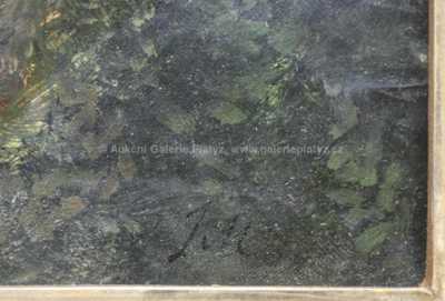  / Lesní strž / Julius Mařák