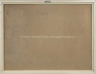  / Na vyjížďce / Luboš Synecký