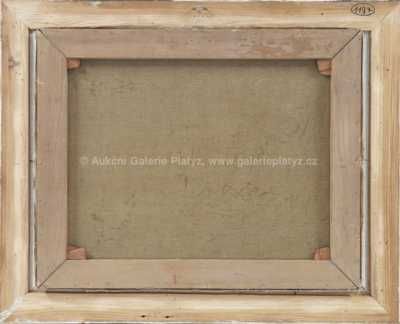  / Rozkvetlý keř v lomu / Karel Holan