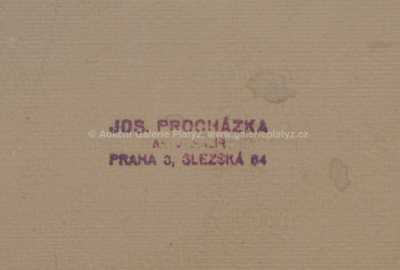  / Podzimní nálada / Josef Procházka