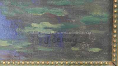  / Lekníny / Jaromír Černý