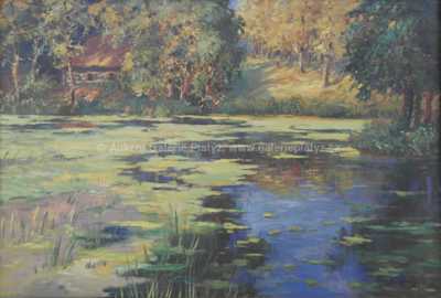  / Lekníny / Jaromír Černý