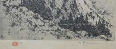  / Hrad Strečno / František Tavík Šimon