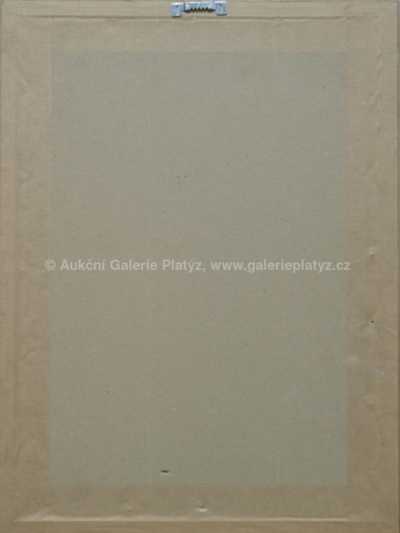  / Hrad Strečno / František Tavík Šimon