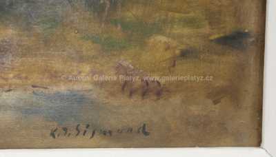  / Nad potokem / Karel Jan Sigmund