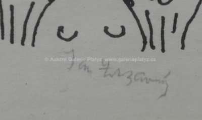  / Anděl / Jan  Zrzavý