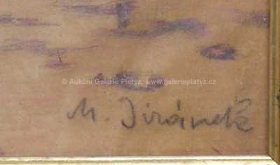  / Akt s labutí / Miloš Jiránek