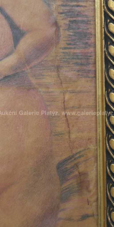  / Akt s labutí / Miloš Jiránek