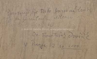  / Akt s labutí / Miloš Jiránek