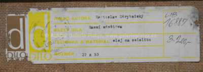  / Ranní návštěva / Rostislav Zárybnický