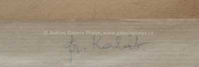  / Vesnický rybník / František Kaláb