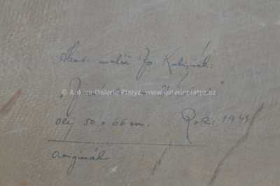  / Ve vesnici / J. Kubižňák