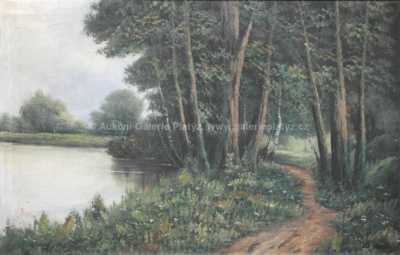  / Lesní cesta /   Autor neurčen