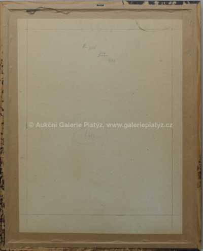  / V koruně stromu / Josef Liesler