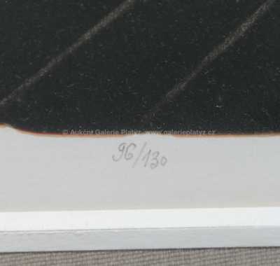  / V koruně stromu / Josef Liesler