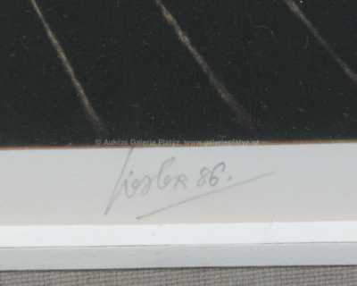  / V koruně stromu / Josef Liesler