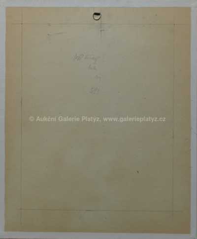  / Tenisový kurt / Tomáš Bím