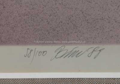  / Tenisový kurt / Tomáš Bím