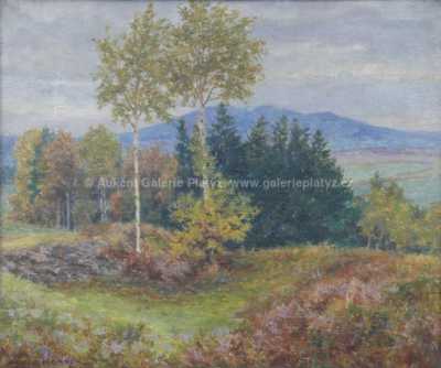  / Vřesoviště / Adolf Körber