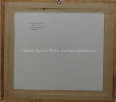  / Uherské Hradiště / Alois Schneiderka