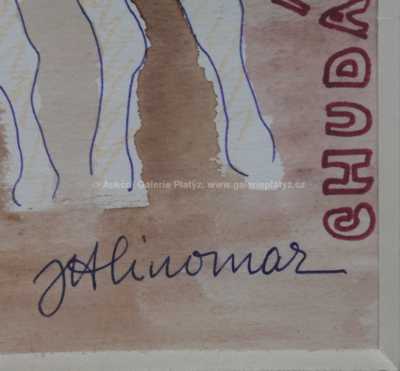  / Žirafa v noci / Josef Hlinomaz