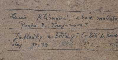  / Jabloňky a břízky / Lucie Klímová