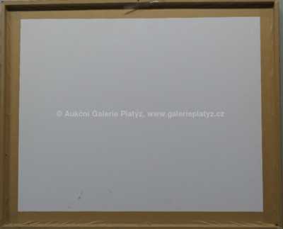  / Na kopci / Aleš Veselý