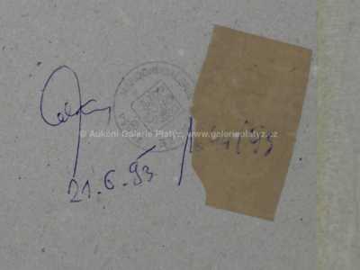  / Dáma v červeném / Jiří Sodoma