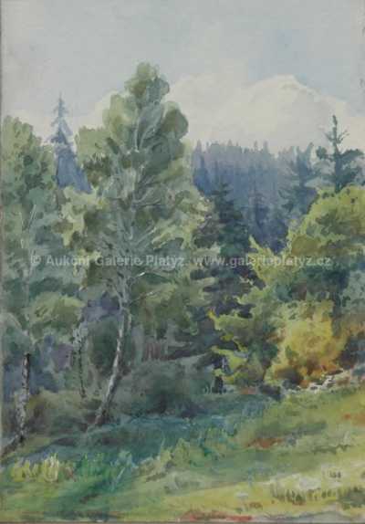  / Lesní tišina (Žloukovice) /   Autor neurčen