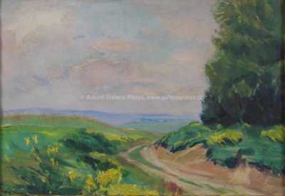  / Polní cesta / Rudolf  Walter