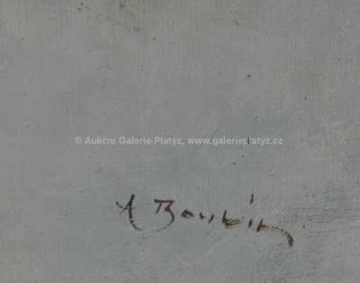  / Cesta sněhem / Antonín Boubín