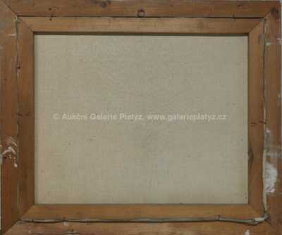  / Cesta sněhem / Antonín Boubín