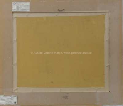  / Zima na Doubravě / Josef Mathias Minařík