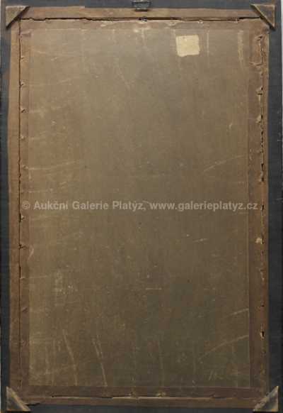  / Studie kapitána / Hanuš Schwaiger