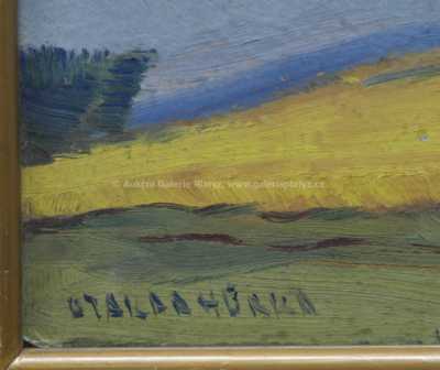  / Letní pole / Otakar Hůrka