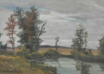  / Zarostlý rybník / Otakar Hůrka