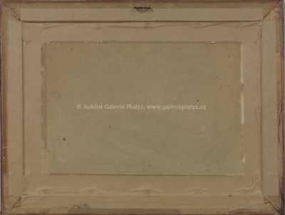  / Zarostlý rybník / Otakar Hůrka