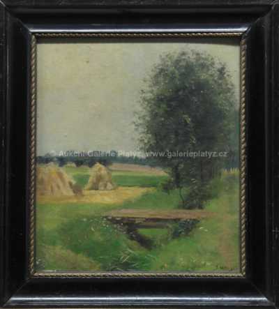 Josef Holub - Lávka přes potok