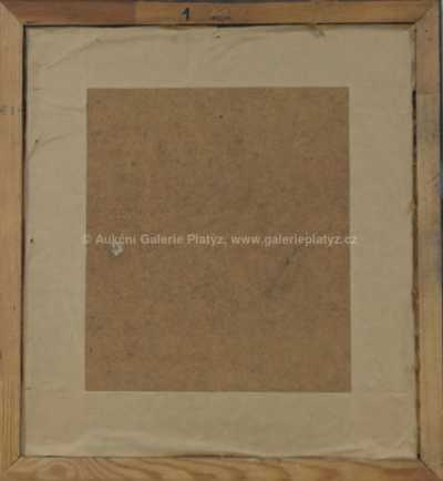  / Mimozemšťan / Tomáš  Vlasák