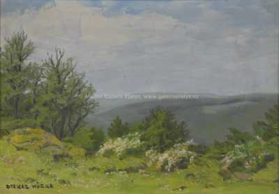  / Rozkvetlá mez / Otakar Hůrka