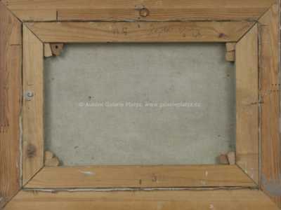  / Rozkvetlá mez / Otakar Hůrka