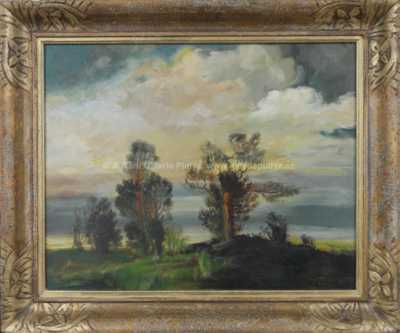 Viktor Rolín - Kraji před bouří
