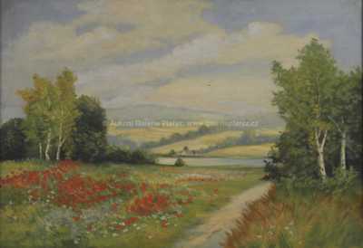  / Vlčí máky / Jaroslav Riedl